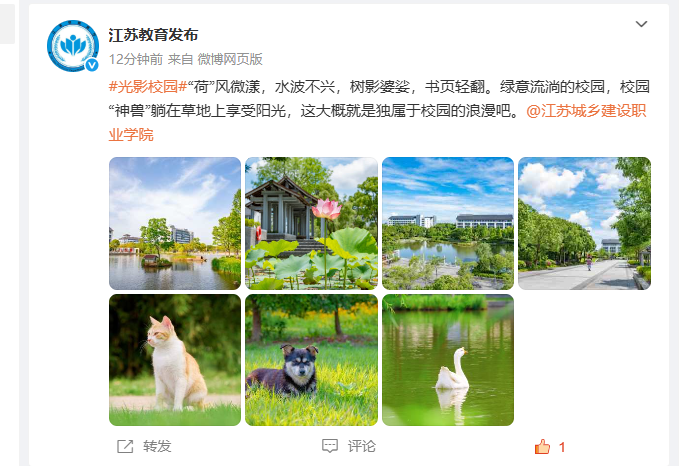 江苏教育发布微博：“荷”风微漾，水波不兴，树影婆娑，书页轻翻。