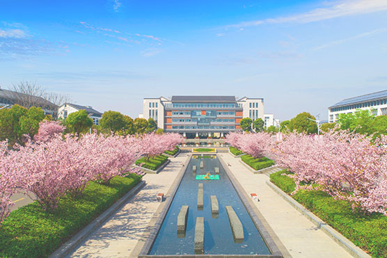 我校举办2025年校级教师教学能力比赛
